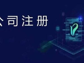 天津东丽区注册公司指南 免费代办执照、代理记账与财税咨询全解析